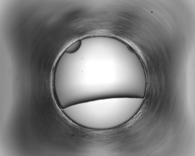 X0000094341390200711021141