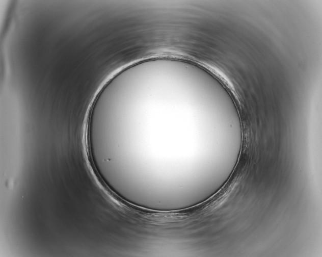 X0000094341391200711021141