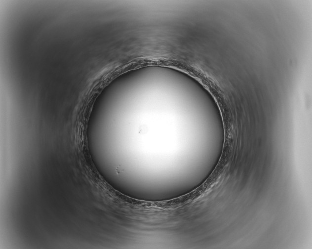 X0000094341398200711021141