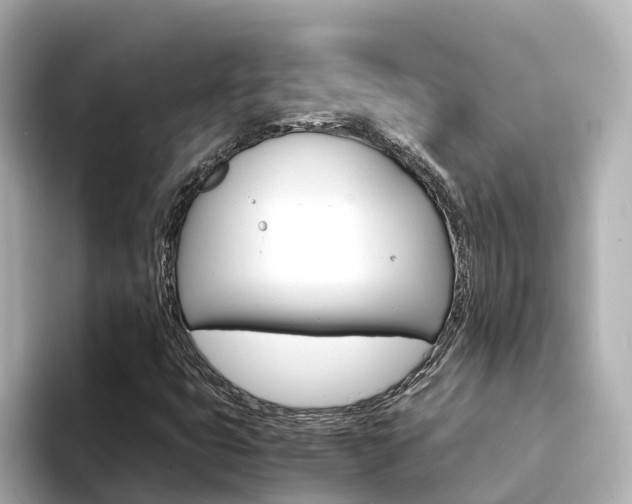 X0000094341399200711021141