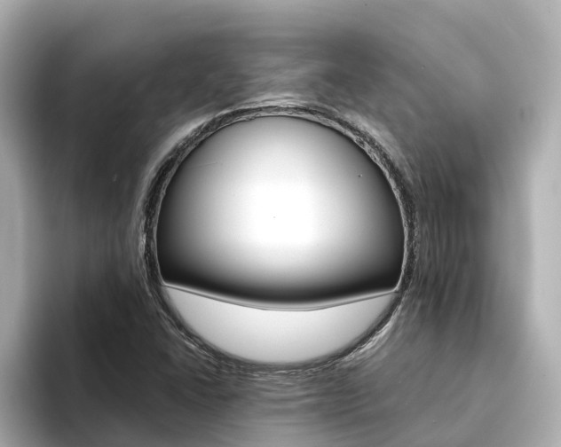 X0000094341406200711021141