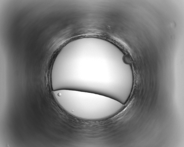 X0000094341407200711021141