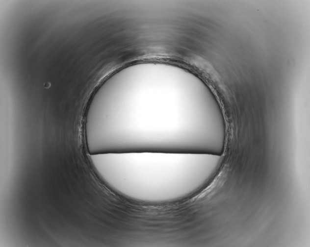 X0000094341409200711021141