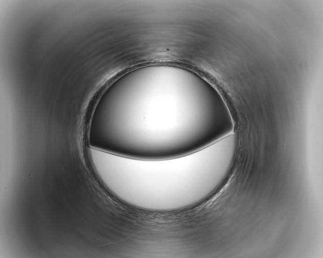 X0000094341410200711021141