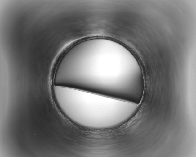 X0000094341416200711021141