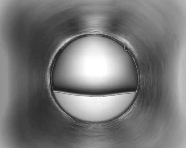 X0000094341424200711021141