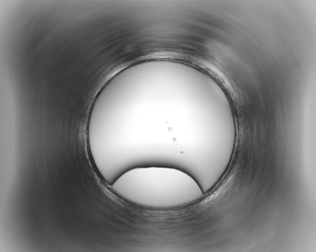 X0000094341425200711021141