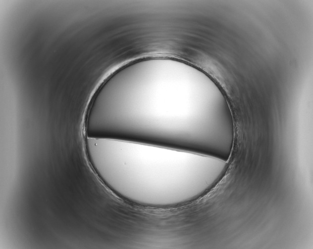 X0000094341428200711021141