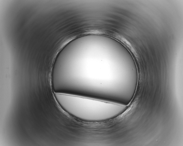 X0000094341433200711021141