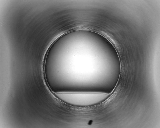 X0000094341434200711021141