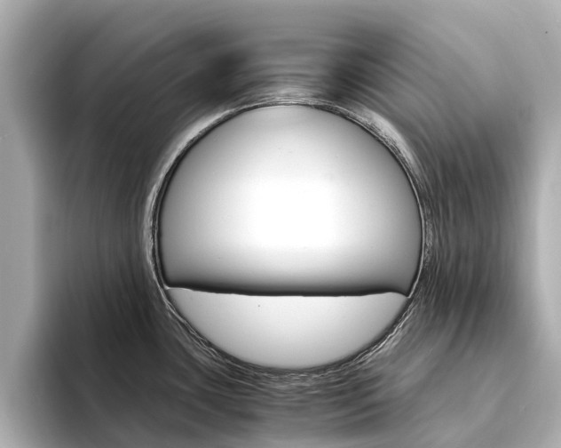 X0000094341435200711021141