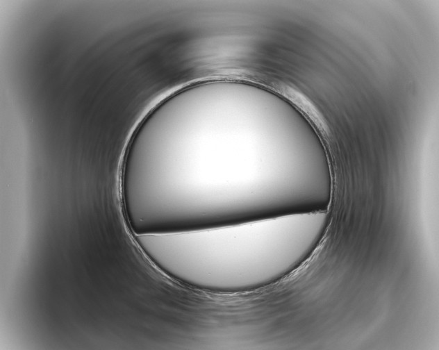 X0000094341436200711021141
