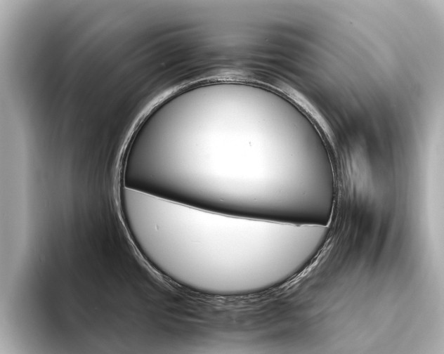 X0000094341437200711021141