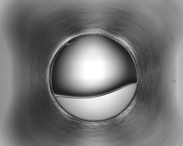 X0000094341438200711021141