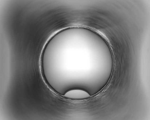 X0000094341440200711021141