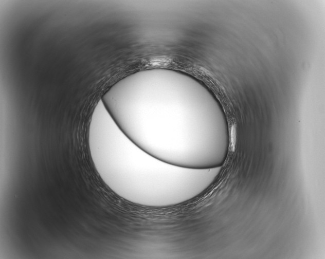 X0000094341443200711021140