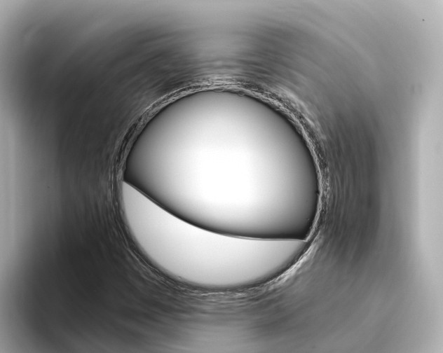 X0000094341449200711021140