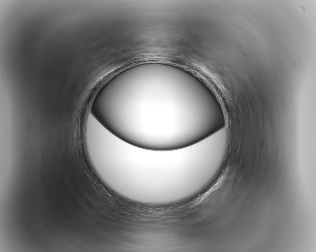 X0000094341453200711021140