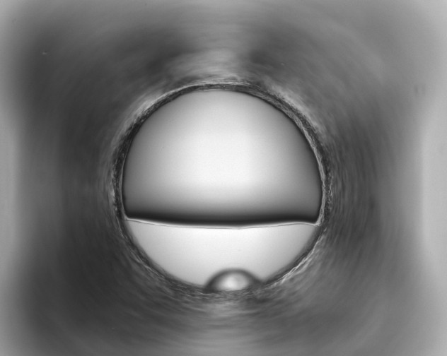 X0000094341455200711021140