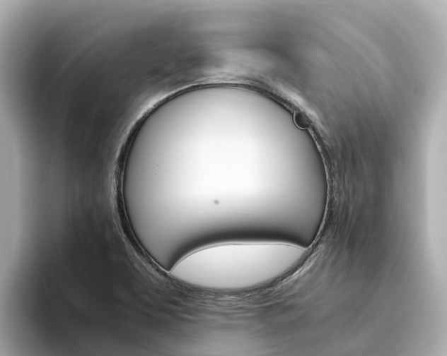 X0000094341463200711021140