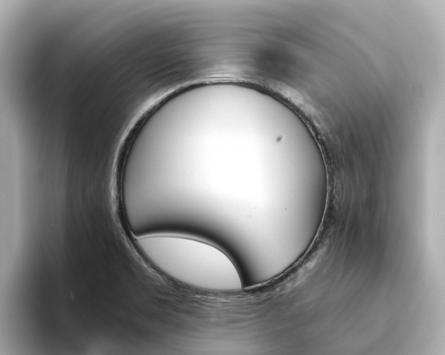 X0000094341469200711021140