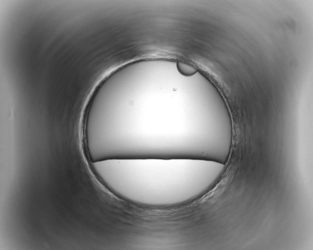 X0000094341471200711021140