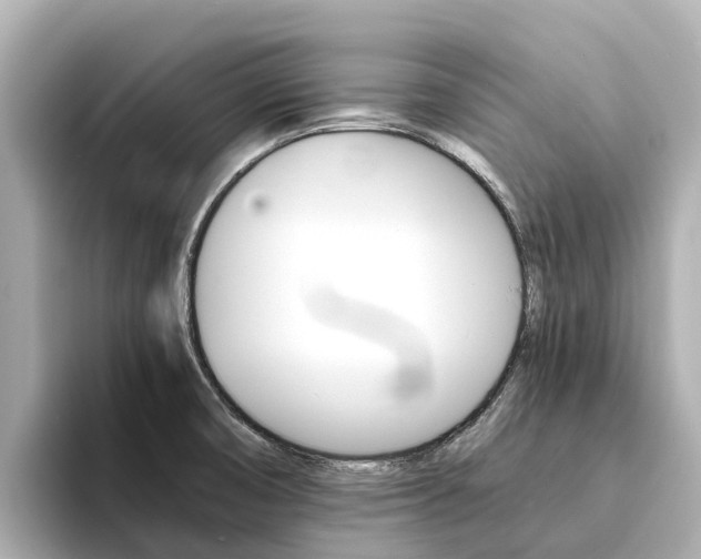 X0000094341474200711021140