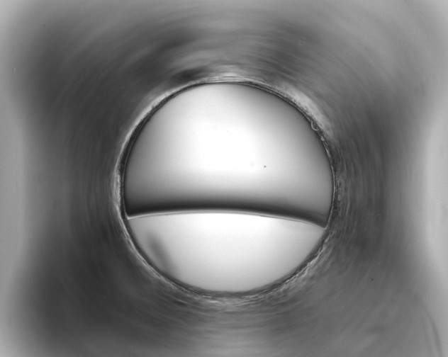 X0000094341476200711021140