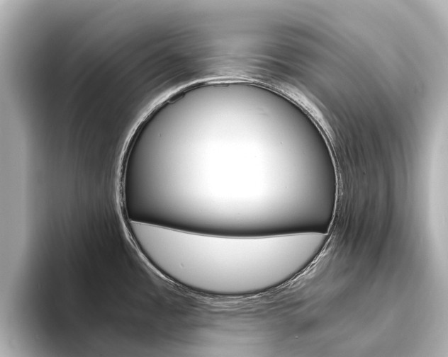 X0000094341485200711021140