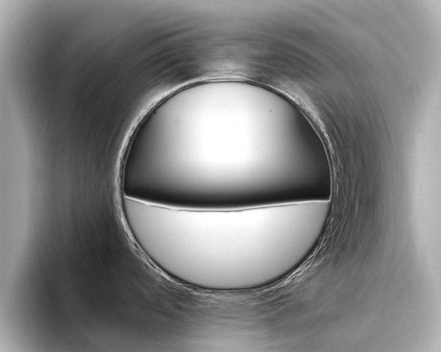 X0000094341488200711021140