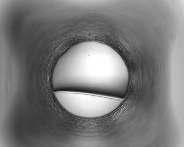 X0000094341489200711021139