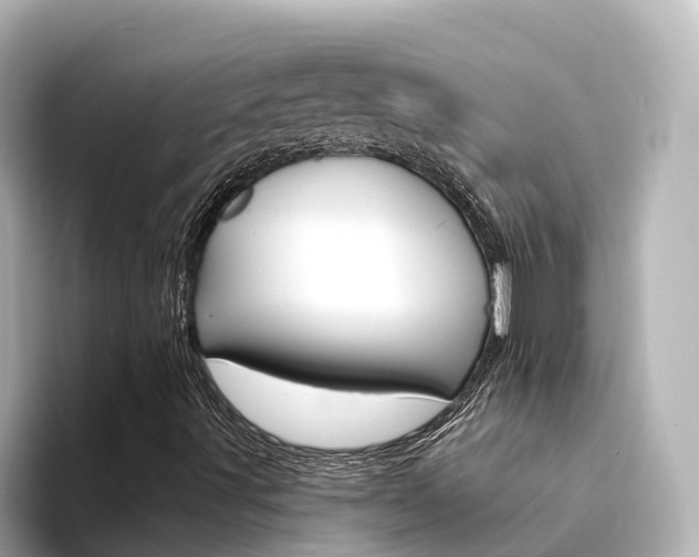 X0000094341491200711021139