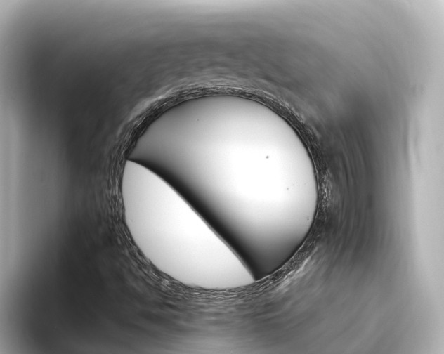 X0000094341494200711021139