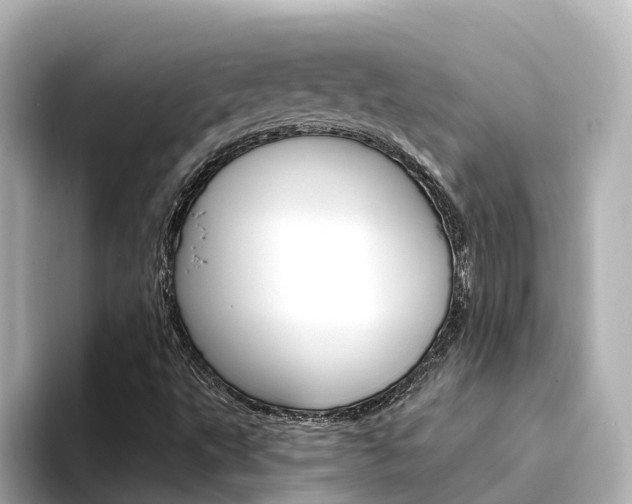 X0000094341495200711021139