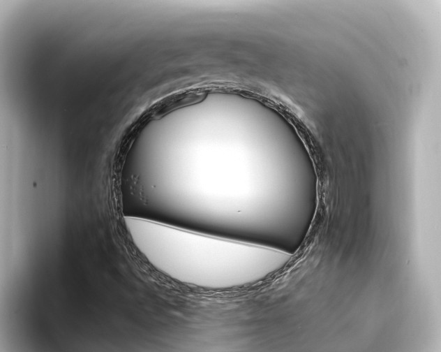 X0000094341496200711021139