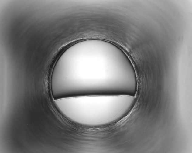 X0000094341499200711021139
