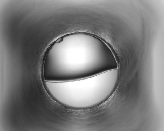 X0000094341500200711021139