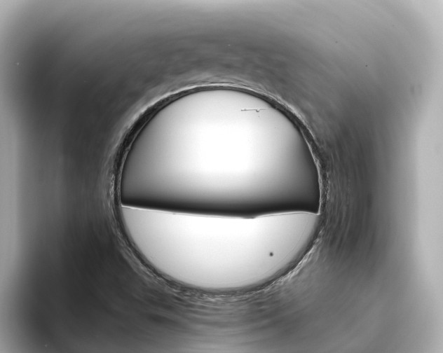 X0000094341503200711021140