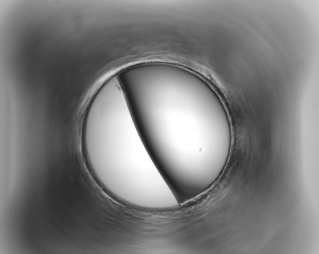 X0000094341504200711021140
