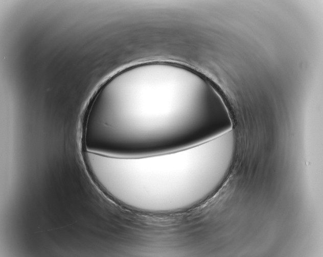 X0000094341508200711021140
