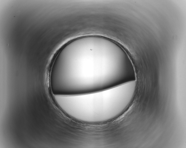 X0000094341510200711021140