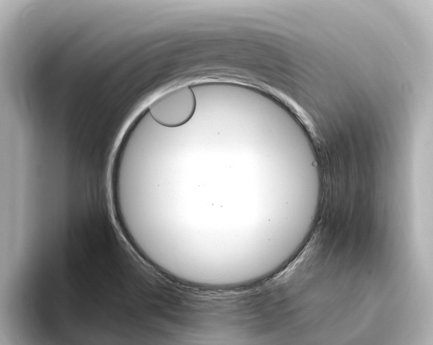 X0000094341514200711021140