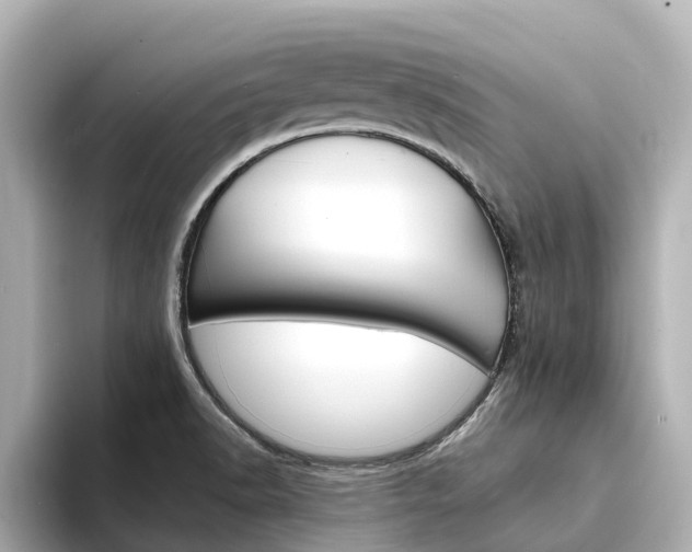 X0000094341518200711021140