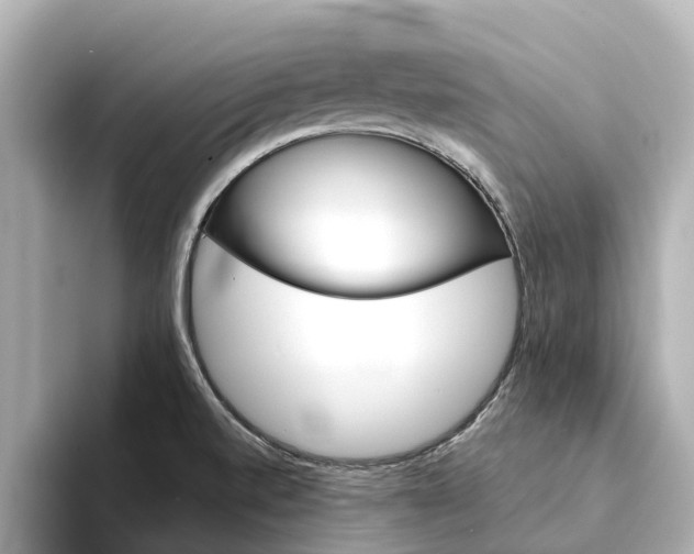 X0000094341520200711021140