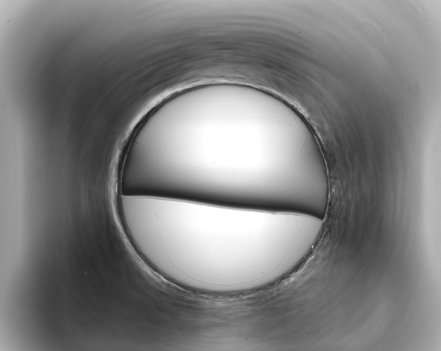 X0000094341523200711021140