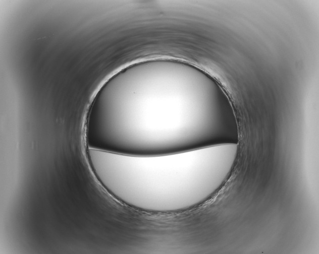 X0000094341524200711021140