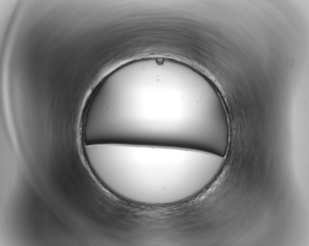 X0000094341525200711021140