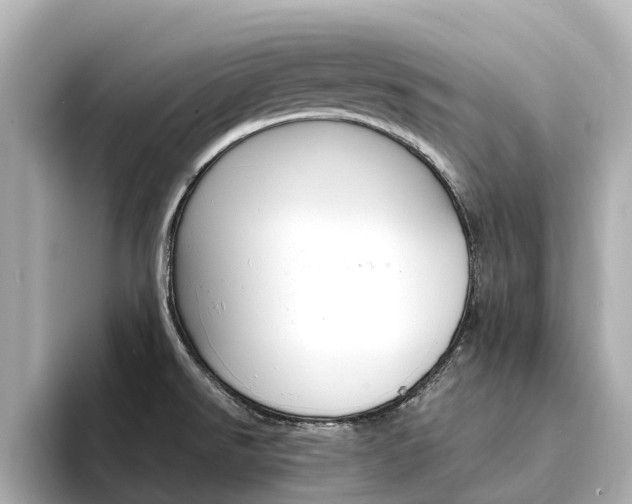 X0000094341526200711021140