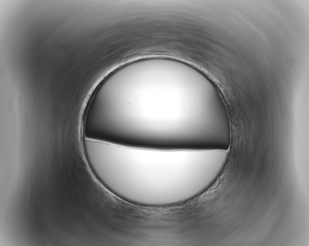 X0000094341527200711021140