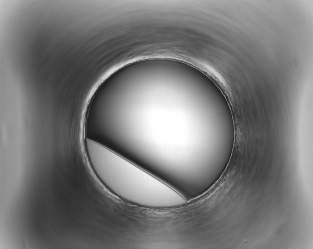 X0000094341528200711021140